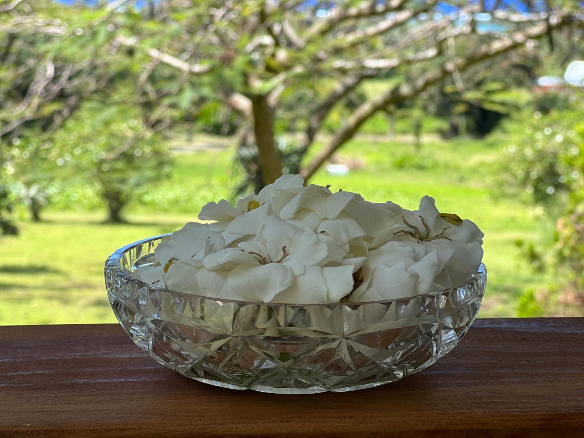 Avocado Retreat Villa Rarotonga Kültér fotó